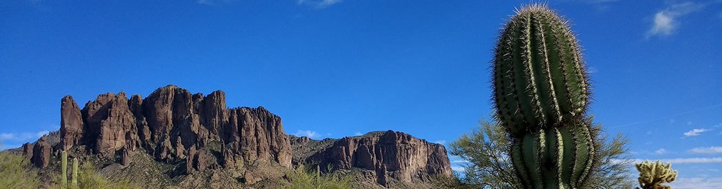 Phoenix Superstition Mountains cactus