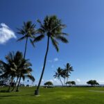Sony Open in Hawaii backdrop