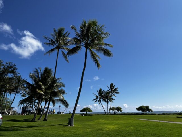 Sony Open in Hawaii backdrop