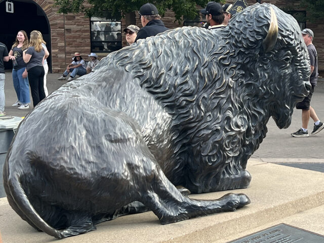 A buffalo statue stands on the concourse at Folsom Field in Boulder, Colorado