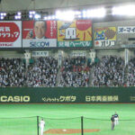 Panoramic view of the field at the Tokyo Dome in Tokyo, Japan