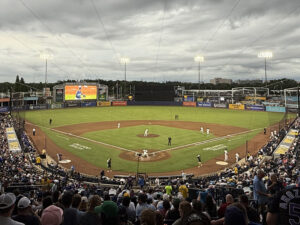 View of the action from behind plate during a Tampa Bay Rays game at Steinbrenner Field