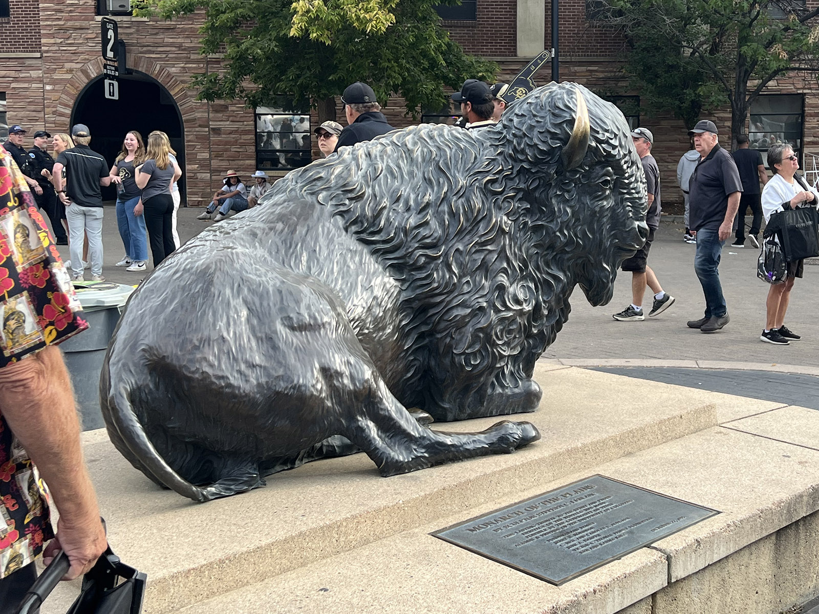 A statue of buffalo mascot Ralphie sits outside Folsom Field in Boulder, Colorado